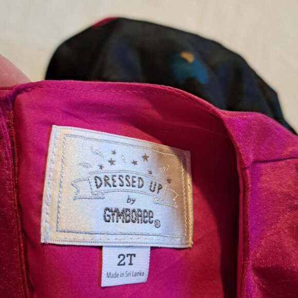 Gymboree girls size 2T black & pink floral party dress, EUC - Picture 5 of 6